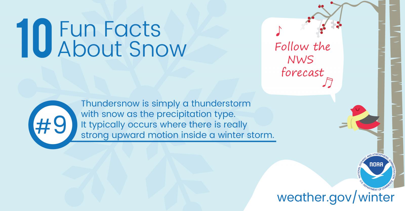 10 Fun Facts About Snow: #9. Thundersnow is simply a thunderstorm with snow as the precipitation type. It typically occurs where there is really strong upward motion inside a winter storm.